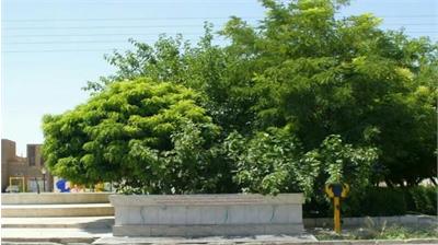 بیش از 220 ایستگاه برداشت، آب شرب شهروندان اردکانی را تامین می کند