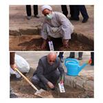 آیین غرس نهال "به یاد هر شهید، یک درخت" در واحد یزد انجام شد.