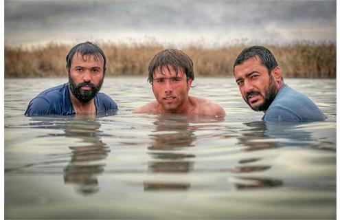 روایت انسانی از جنگ در دل هور نگاهی به فیلم «پل»؛ با بازی سروش صحت و آقاخانی