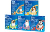 چطور کک و کنه سگ را رفع کنیم؟ معرفی قرص نکس گارد اسپکترا