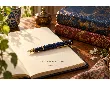 منا یا مونا؟ اسم دخترانه Mona را در فارسی چطور بنویسیم؟