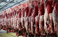 ماجرای توقیف ۱۰۰ تن گوشت مرجوعی مغولستان در رشت