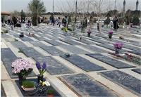 هر تهرانی یک قبر رایگان!
