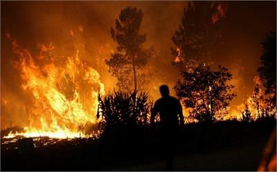 آتش سوزی دوباره تنگه کوشک؛ فریاد برای نجات