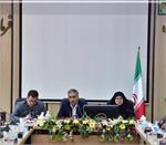 طرح زنده گیری سگ های بلاصاحب در اردکان تداوم دارد