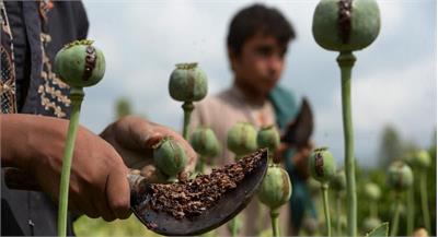 ​کشف بیش از یک تن مواد مخدر در غزنی؛ طالبان: پارسال ۲۵ هزار قرص روانگردان نیز ضبط شد
