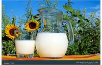 قیمت شیر خام در آستانه تصمیم تازه؛ پیشنهاد ۷۰ هزار تومانی برای چیست؟