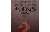 «روش دیوانگی» در دو جشنواره جهانی