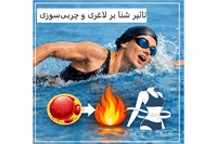 چگونه شنا باعث لاغری و چربی‌سوزی می‌شود؟