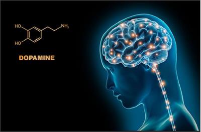 زیادی ذوق نکن؛ چرا بعد از اوج گرفتن سقوط می‌کنیم؟