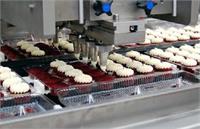 نقش مالیات در صنایع کوچک و معیشت مردم