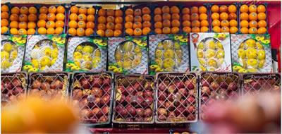 تامین ذخایر کالاهای اساسی