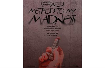 «روش دیوانگی» در دو جشنواره جهانی