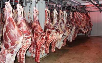 اولین محموله گوشت الاغ پاکستان به چین صادر شد