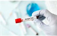 هشدار درباره افزایش تب دانگی در کشور: ابتلای مجدد می‌تواند مرگبار باشد!