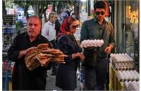 تخم‌مرغ از غذای فقرا به کالای لوکس تبدیل شد؛ قیمت هر شانه بالای ۲۵۰ هزار تومان!