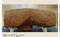 تقویم تاریخ امروز ۷ آبان ۱۴۰۵؛ از یاد کوروش تا نخستین پیام آرپانت