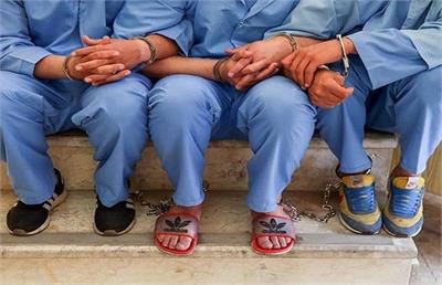 کلاهبرداری ۵۰ میلیاردی با نام نمایندگی بیمه