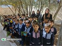 طرح سفیران سبز در سراسر استان یزد اجرا شد
