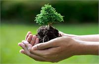 حفظ محیط زیست یعنی مسئولیت پذیری اجتماعی