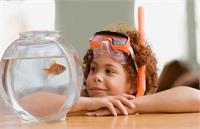 چرا «ماهی قرمز» هفت سین خطرناک است؟