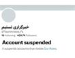 تمام صفحات خبرگزاری تسنیم در ایکس مسدود شد!