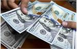 قیمت دلار در سال ۱۴۰۲ افزایش می یابد اگر...