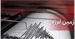 زمین لرزه ای به بزرگی ۴ ریشتر بوشهر را لرزاند