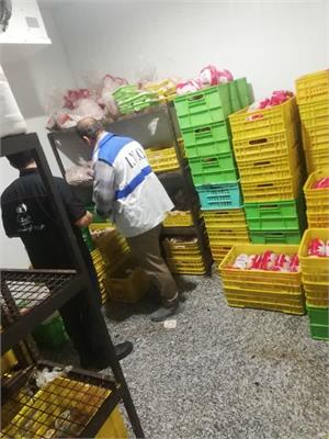 هزار و 481 مورد بازرسی بی وقفه دامپزشکی در طرح تشدید نظارت بهداشتی و شرعی ویژه ماه مبارک رمضان و نوروز 1404