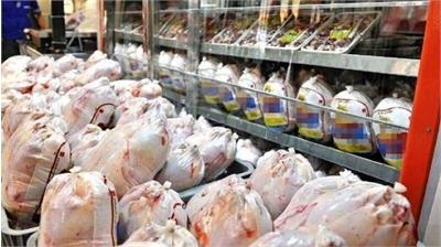 هیچ کمبودی در تأمین گوشت و مرغ کشور نیست