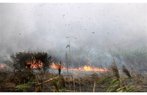 صعب‌العبور بودن منطقه، دسترسی امدادگران را با مشکل مواجه کرده / خطری ساکنان روستاهای اطراف را تهدید نمی‌کند همه چیز درباره