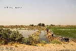 رهاسازی آب از سوی ایران در بخش عراقی هورالعظیم