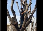 ماجرای حکم تلخ اخراج یک دانشجوی شریف به خاطر یک عروسک موش