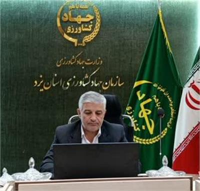 رکورد زنی کشتار مرغ در استان یزد