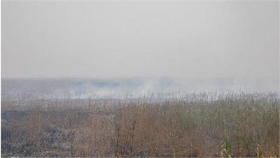 اهواز در محاصره دود؛ آتش‌سوزی در هورالعظیم تا پایان مهر ادامه دارد