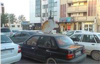 ماجرای جمع آوری دیش های ماهواره