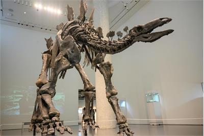 حراج فسیل دایناسورها به مبلغ ۱۲ میلیون پوند