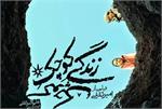 بررسی فیلم «زندگی کوچک کوچک» امیرحسین ثقفی