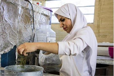 قیمت نان ۵۲ درصد گران شد