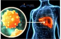 راه‌های انتقال، علائم و درمان هپاتیت B