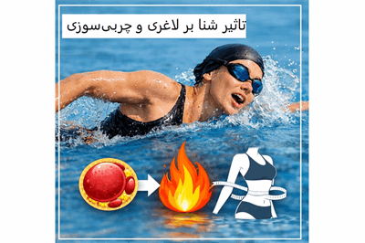 چگونه شنا باعث لاغری و چربی‌سوزی می‌شود؟