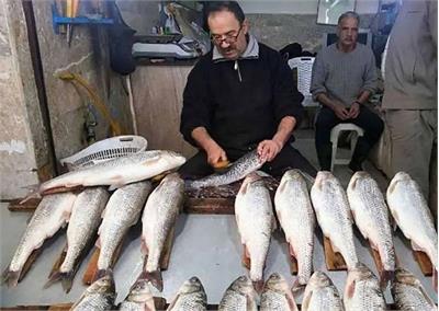 ماهی، میگو و گوشت بوقلمون به سبد کالابرگ اضافه شد