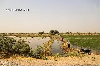 رهاسازی آب از سوی ایران در بخش عراقی هورالعظیم