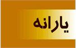 جزییات «افزایش یارانه» در بودجه سال آینده