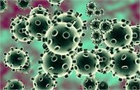 دوام و سرایت ویروس کرونا تا ۲۸ روز روی سطوح