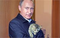 فدراسیون بین‌المللی «گربه» گفت نمی تواند بیکار بنشیند!