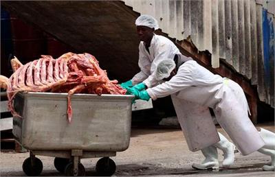 گوشت کنیایی به میادین شهرداری تهران می‌رسد