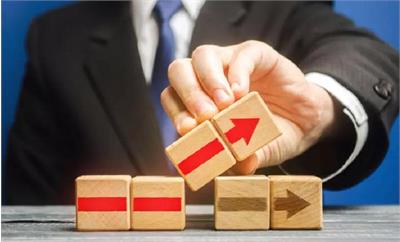 مرغی که دو پا دارد؛ معجزه‌ای به نام انعطاف‌پذیری در سیاست و حکومت