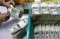 جذابیت «صعود ارز» و بحران بازار