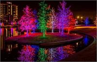 راهنمای نورپردازی فضای سبز برای کارفرمایان: از انتخاب پیمانکار تا رونمایی